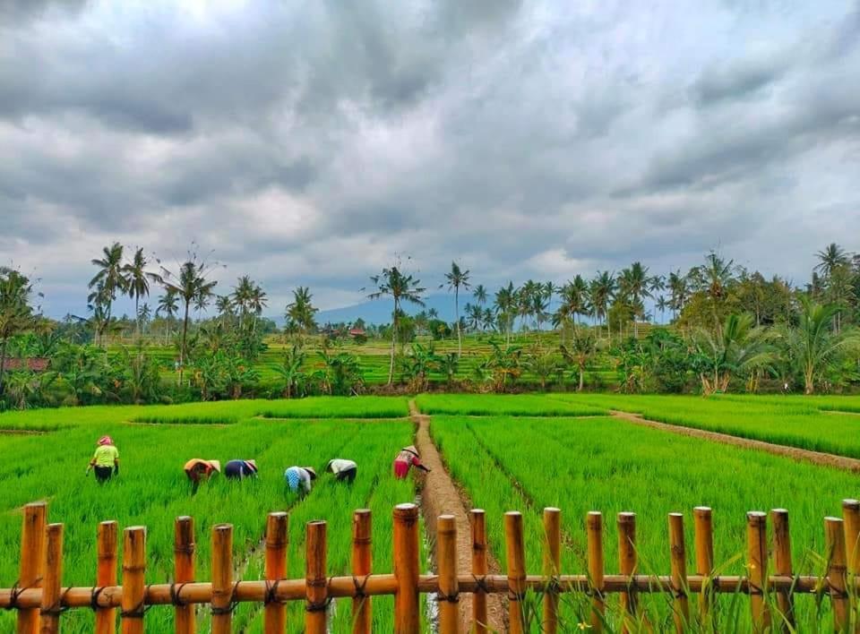מלון Licin Sawah Ijen מראה חיצוני תמונה